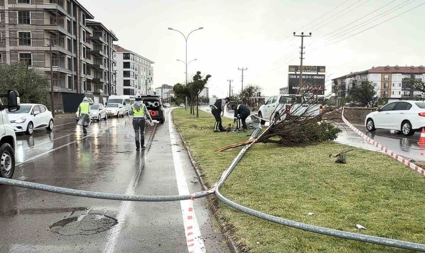 Kontrolden çıkan otomobil aydınlatma direğini ve ağacı devirdi: Bir yaralı