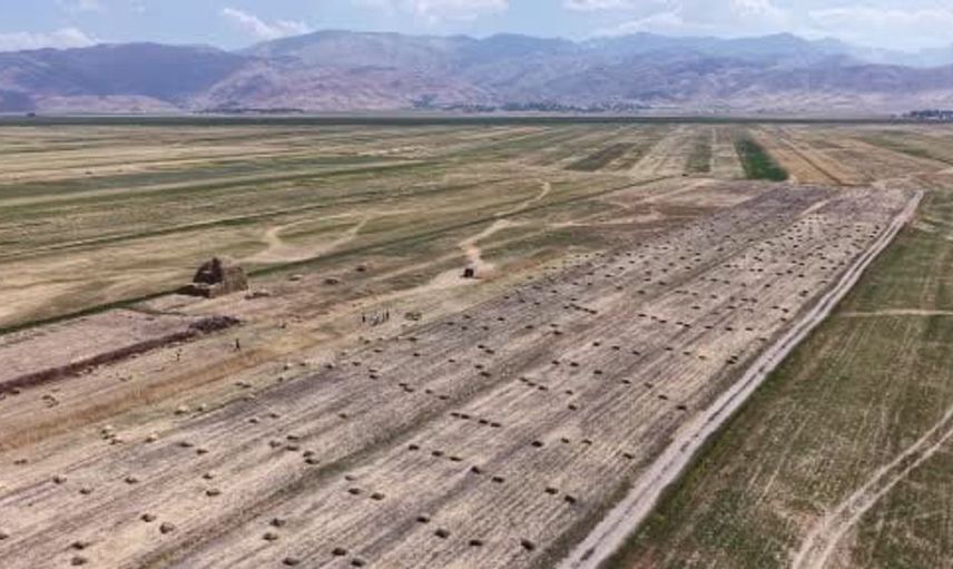 Yüksekova'da zorlu sıcaklar altında buğday hasadı devam ediyor