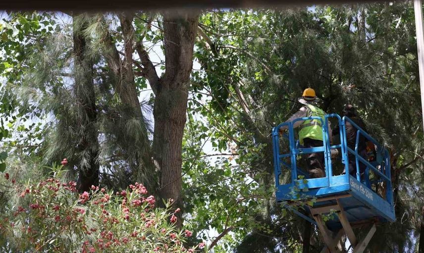 Aydın Büyükşehir’den Gençlik Parkı’nda kapsamlı bakım çalışması