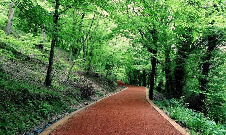 Belgrad Ormanı giriş ücreti ne kadar? 2022 Belgrad Ormanı araç giriş ücret bilgiler