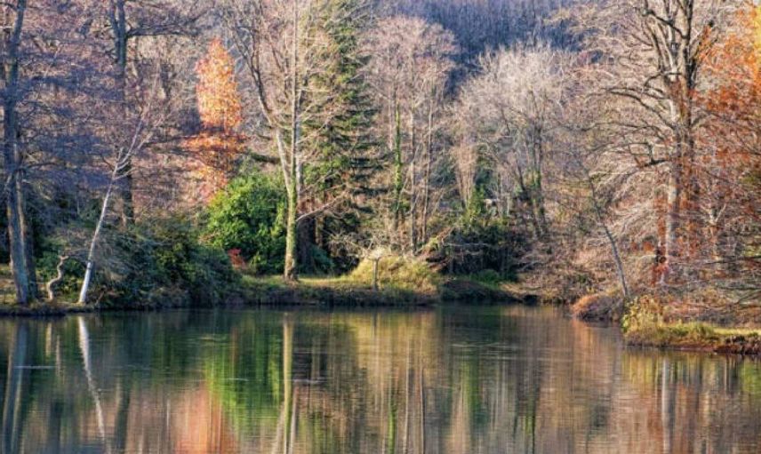 Belgrad Ormanı giriş ücretleri ne kadar? Belgrad Ormanı giriş ücretlerine zam mı geldi, girişler ne kadar oldu, kaç TL?