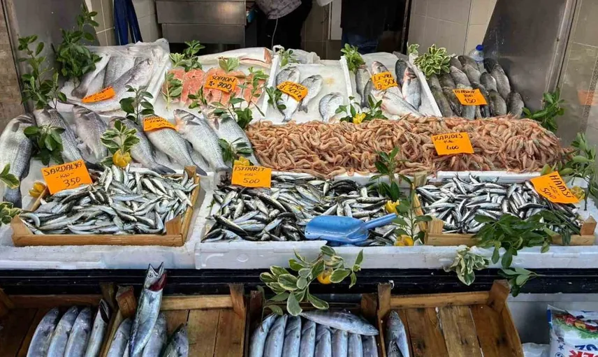Karadeniz'de palamut bereketi: Balık tezgahları çeşitleniyor