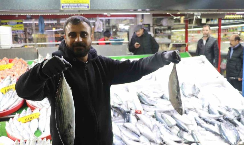 Sivas'ta balık pazarları, Karadeniz'i aratmıyor: Palamut rekoltesi göz dolduruyor