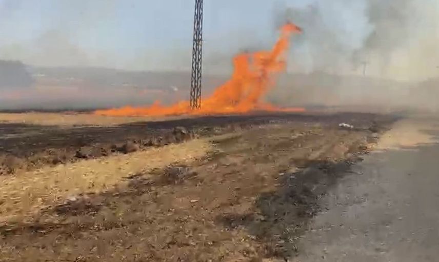 Çanakkale'nin Biga ilçesinde tarım arazisinde yangın