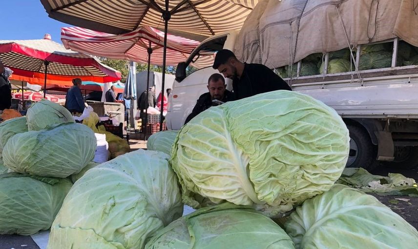 Erzincan'da kışın vazgeçilmezi lahana tezgahlarda