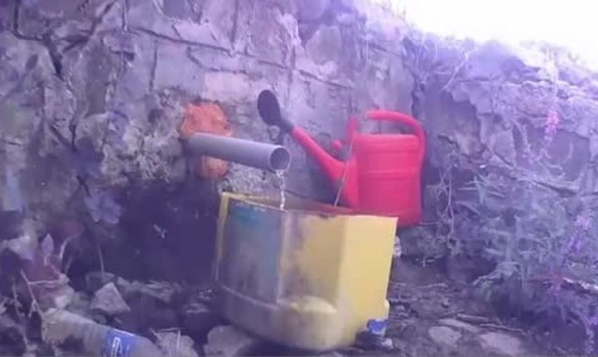 Muratlı'daki fotokapan sayesinde yaban hayatı renkleniyor