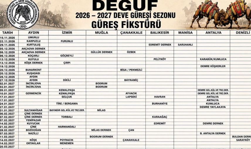 Aydın'da deve güreşi sezonu, 15 Kasım'da start alıyor