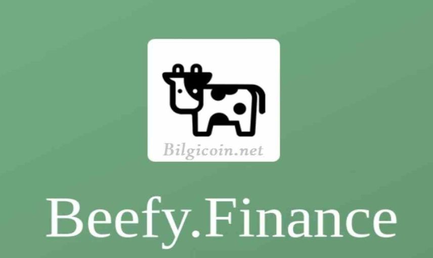 BIFI coin nedir? Beefy Finance coin projesi ve yol haritası