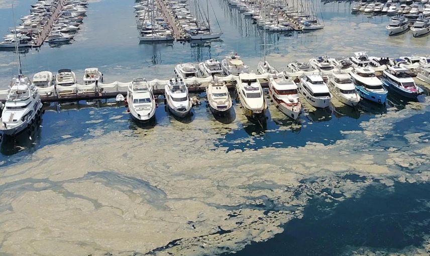 Bilim-2 Gemisi Marmara'da Gezilmedik Yer Bırakmadı! İşte İstanbul Boğaz'daki En Pis 5 Bölge