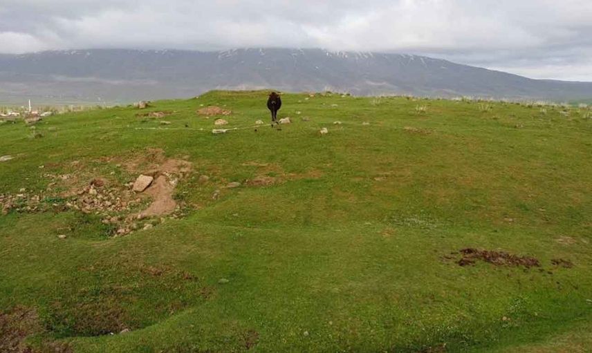 Bitlis'ten ilginç görüntüler: Yaylada mahsur kalan ineği dron çekimi yapan iki arkadaş kurtardı!