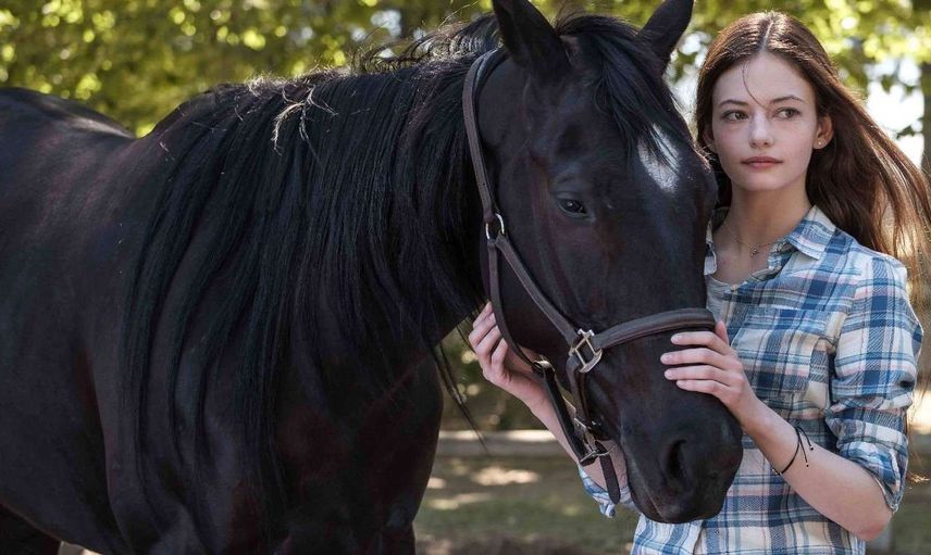 Black Beauty film konusu ve oyuncuları