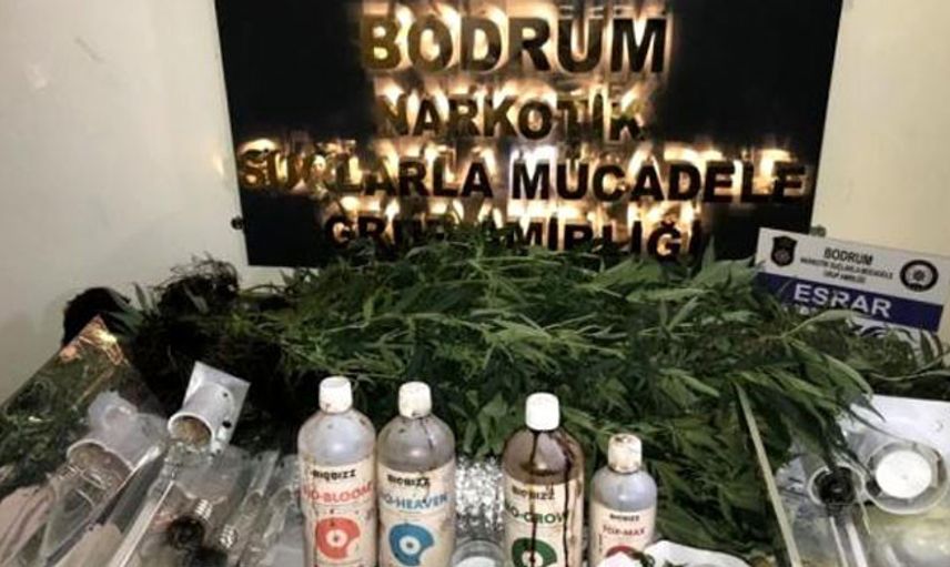 Bodrum'da Ev Uyuşturucu Tarlası Çıktı