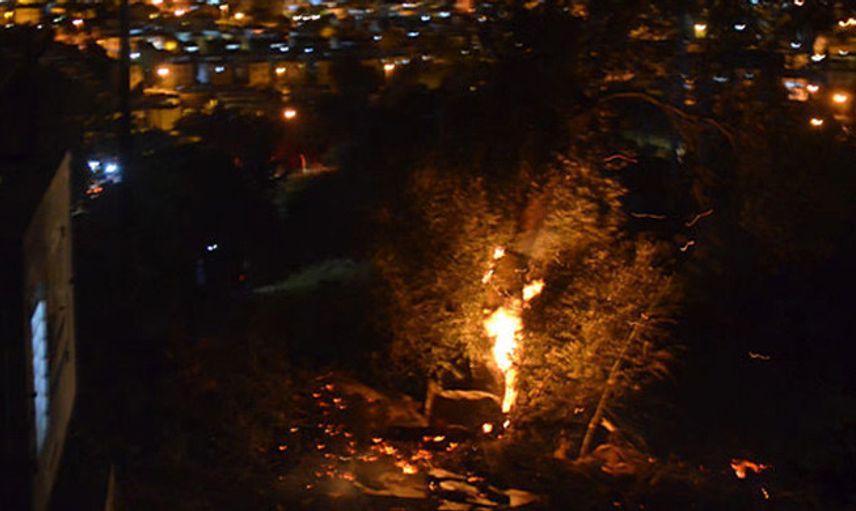 Bodrum'da Makilik Alanda Yangın Çıktı