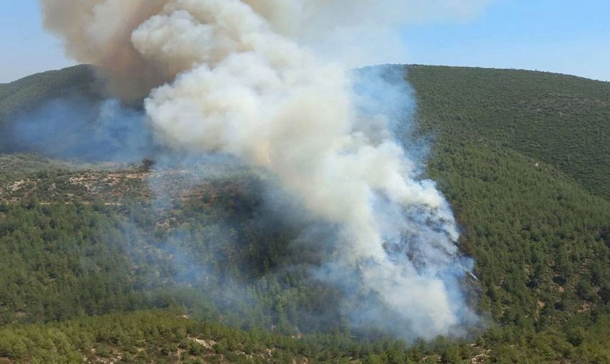 Bodrum’da orman yangını paniği: Ekipler yayılan alevlere müdahale ediyor