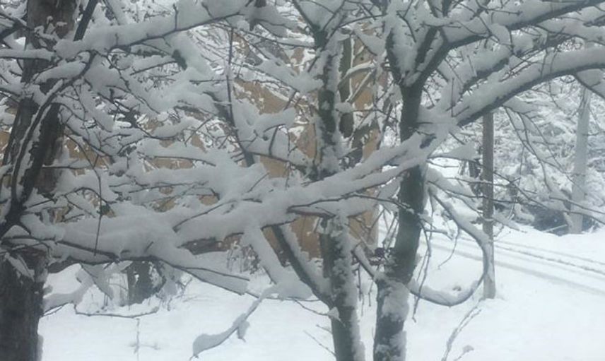 Bolu Dağı'nda Kar Kalınlığı 35 Santimetreye Ulaştı