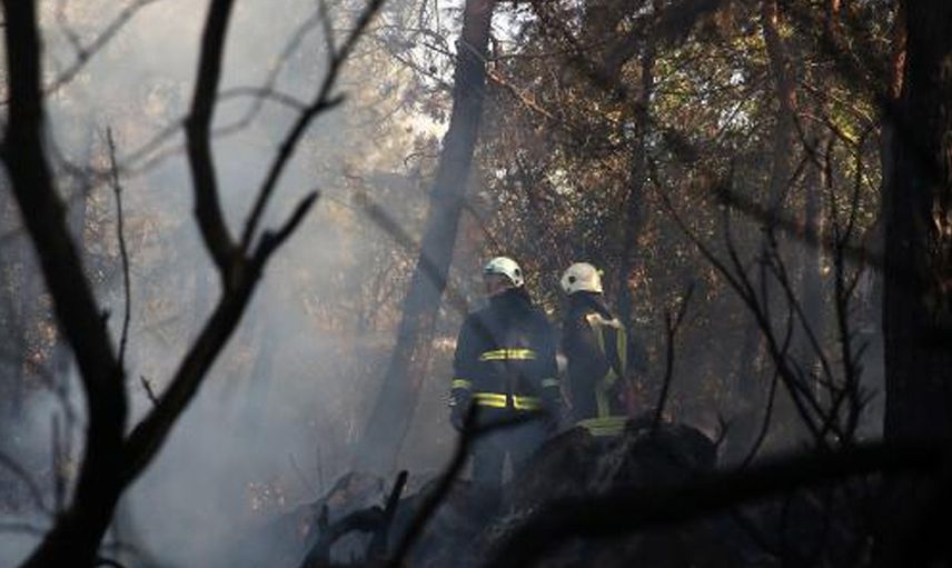 Bolu'da Çıkan Orman Yangını 14 Saatte Söndürüldü