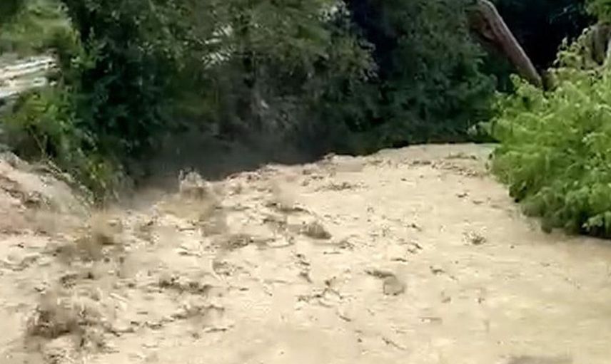Bolu'da Şiddetli Yağışlar Tarım Arazilerini Vurdu