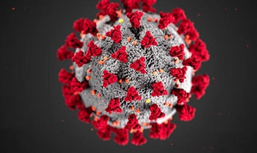Bu Seferde Hindistan'da Salgın Patlak Verdi! Zika Virüsü Yayılıyor