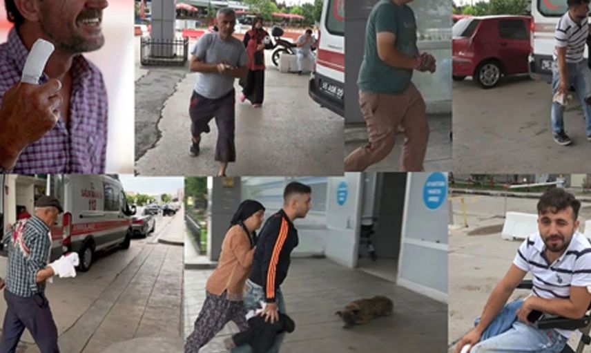 Bu sene de şaşırtmadı! Acemi kasaplar kurban keserken yine hastanelik oldu