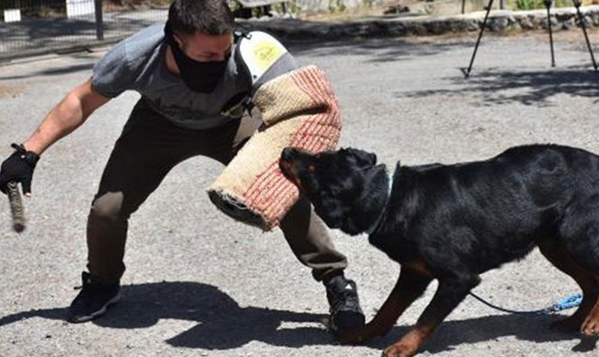 Buffy Artık Emniyet İçin Çalışıyor