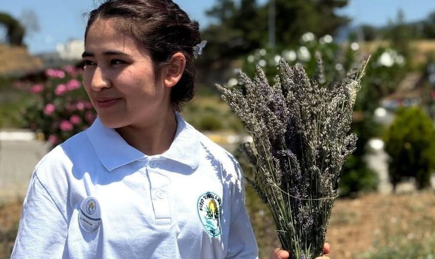 Burhaniye'de Lavanta Kokulu Okul'da hasat heyecanı