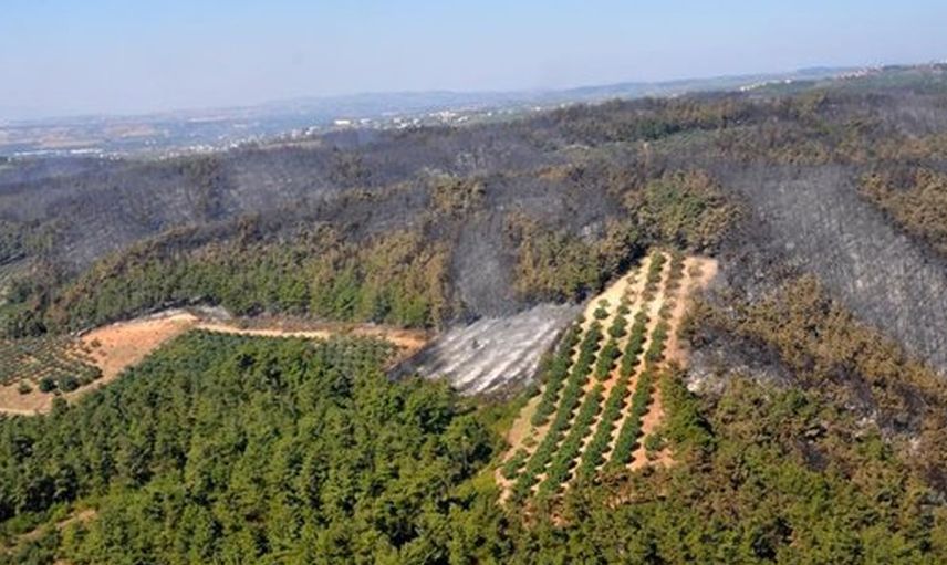 Bursa Valiliği’nden Açıklama Geldi: 1 Eylül'e Kadar Piknik Alanlarında Ateş Yakmak Yasak!