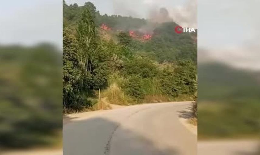 Bursa'da Makilik Alanda Yangın Çıktı