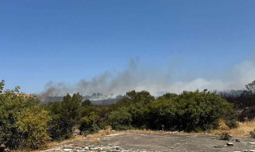 Bursa'da Orman Yangınına Hava ve Kara Müdahalesi