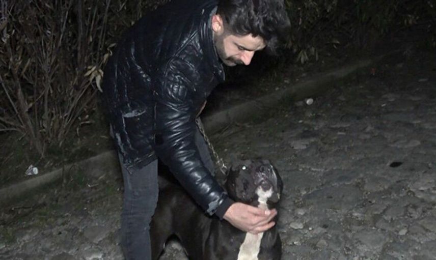 Bursa'da Tecavüz Girişiminde Bulunan Adamı 'Karlos Köpek' Yakaladı