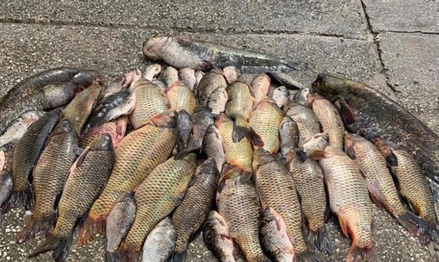 Bursa’da Yasakları Görmezden Gelen Kaçak Avcılara Ceza Kesildi