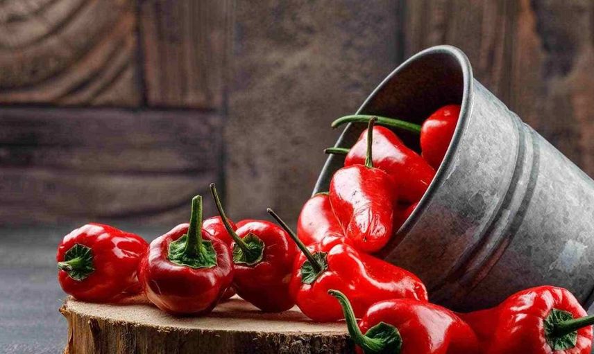 C vitamini portakalda değil onda var! Bir tane yemek günlük ihtiyacı karşılıyor