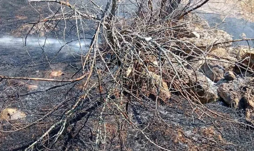 Bilecik'te köy yakınında çıkan ot yangını hızla kontrol altına alındı