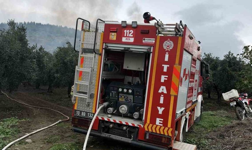 Erdek'te zeytinlikteki evde yangın paniği