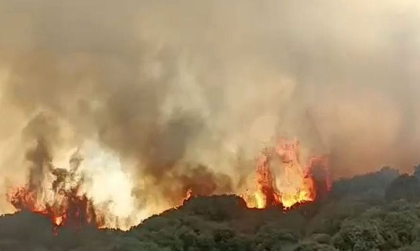 Turgutlu'da makilik alanda yangın sonrası havadan ve karadan müdahale sürüyor