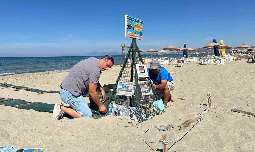 Aydın kıyılarında deniz kaplumbağası yavruları denizle buluştu