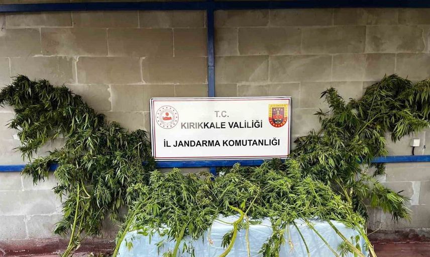 Uyuşturucu madde arama köpeği evin bahçesini taradı: Kenevir ve esrar ele geçirildi