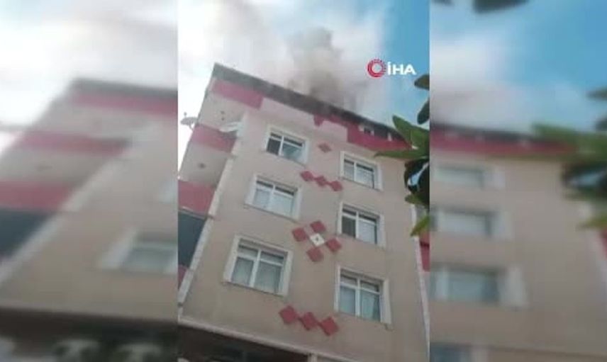 Avcılar'da yangında terastan atlayan kediler dikkat çekti