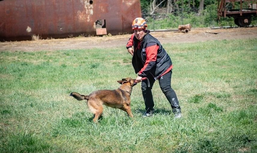 Muğla'nın arama kurtarma köpekleri Tayga ve Foxy başarıya imza attı