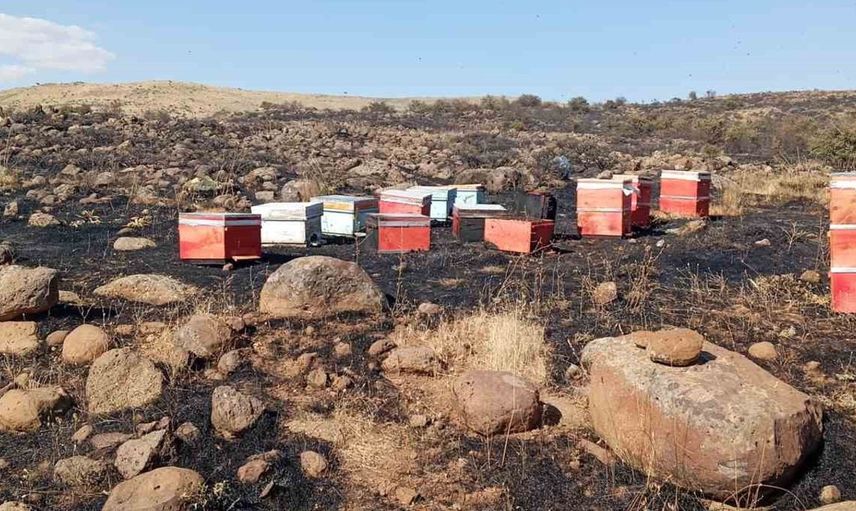 Elazığ'da arazi yangını: arı kovanları zarar gördü