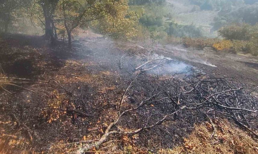 Mudurnu'da çıkan ot yangını itfaiyenin zamanında müdahalesiyle önlendi