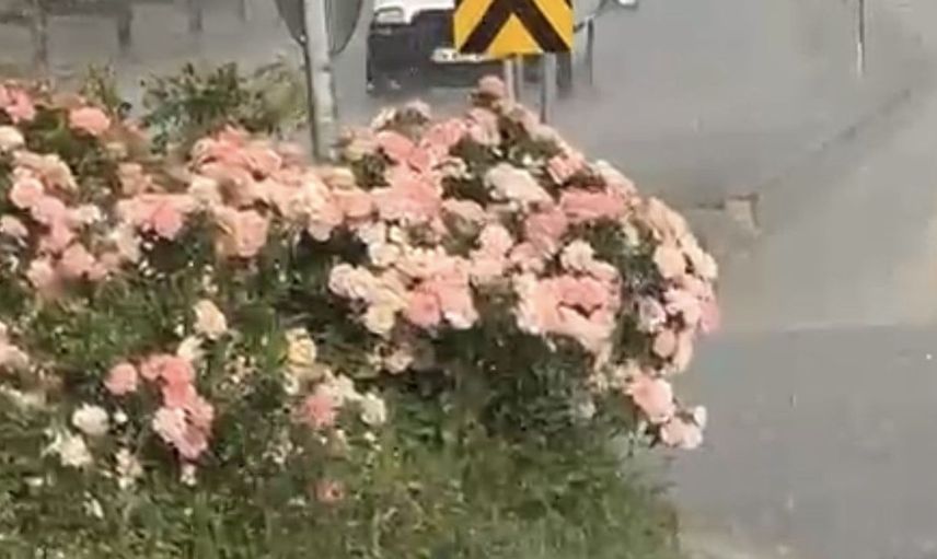 Bolu'da sıcak hava yağmurla serinledi: Günlük hayat sekteye uğradı