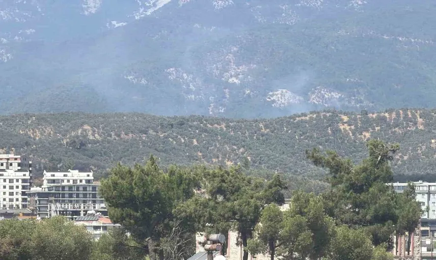 Balıkesir'de zeytinlikteki yangın Kazdağı Milli Parkı'na ulaştı