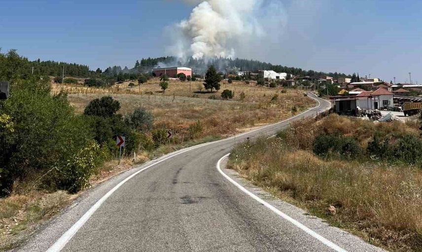 Denizli'de çıkan orman yangını hızla kontrol altına alındı