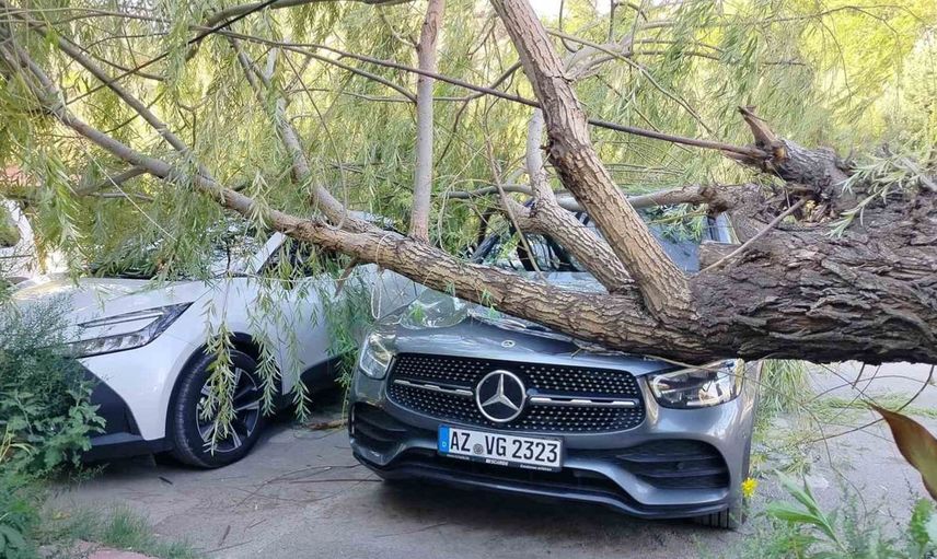 Elazığ'da fırtına nedeniyle devrilen ağaç araçlara zarar verdi