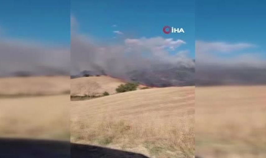Tekirdağ'daki orman yangınında 90 dekarlık alan zarar gördü