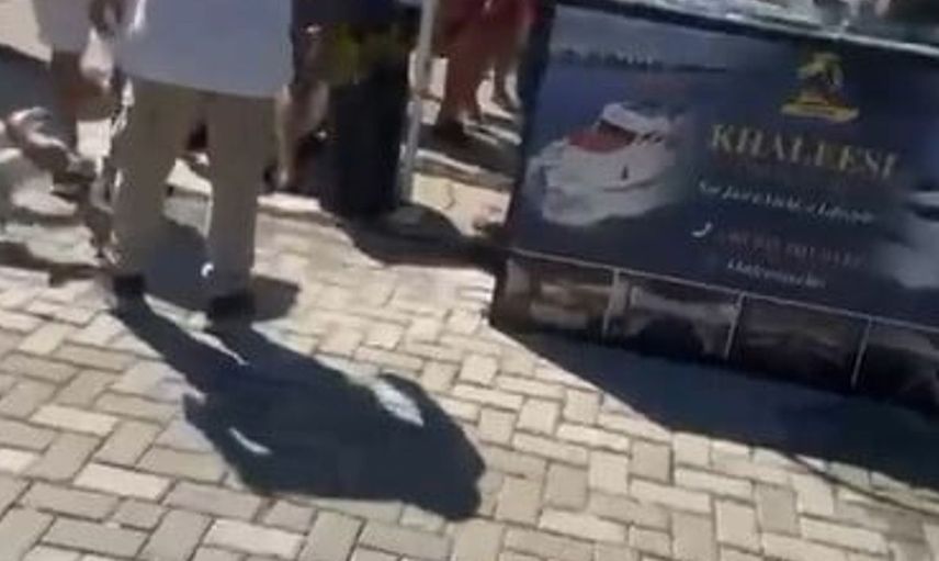 Alanya'da tur teknesi çalışanları arasında kavga çıktı