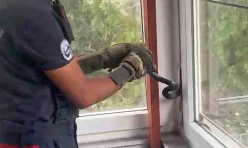 Pencere arasına sıkışan yılan itfaiye tarafından kurtarıldı