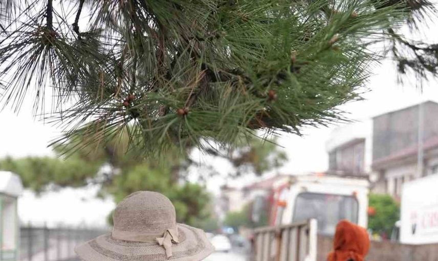 Düzce'deki yeşil alanlar için özverili bakım çalışmaları yapılıyor