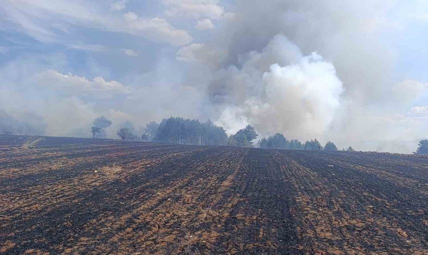 Emet'te ormanlık alanda çıkan yangın kısa sürede kontrol altına alındı