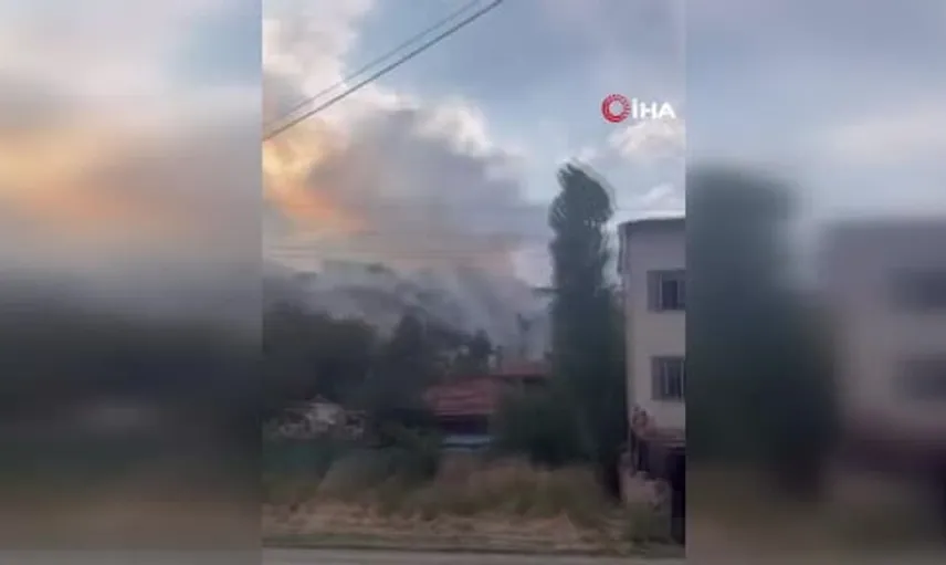 Keçiören'de ağaçlık alanda çıkan yangın paniğe neden oldu